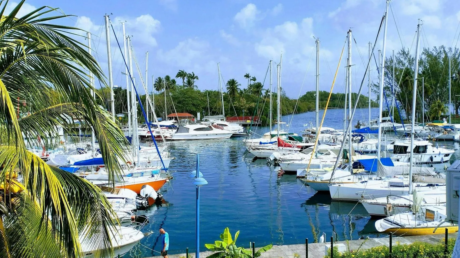 Apartmán Le Cocotier - Pointe Du Bout Les Trois-Ilets Martinik